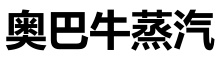 奥巴牛蒸汽官方网站